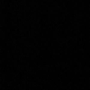 Meet your Posher, Sadie